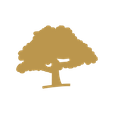 Baum Icon