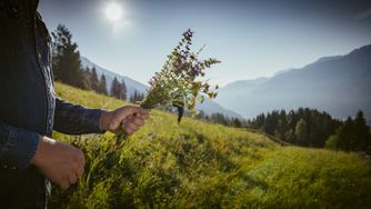 Frau hält einen Kräuterstrauß in der Hand