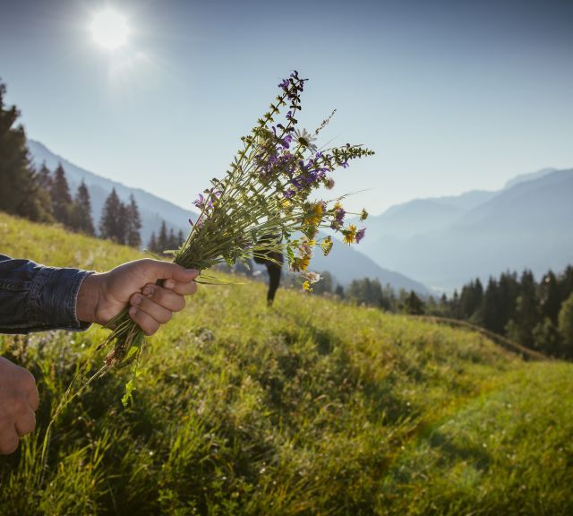 Frau hält einen Kräuterstrauß in der Hand