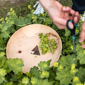 Beschriftung der Gartenkräuter in unseren Hochbeeten