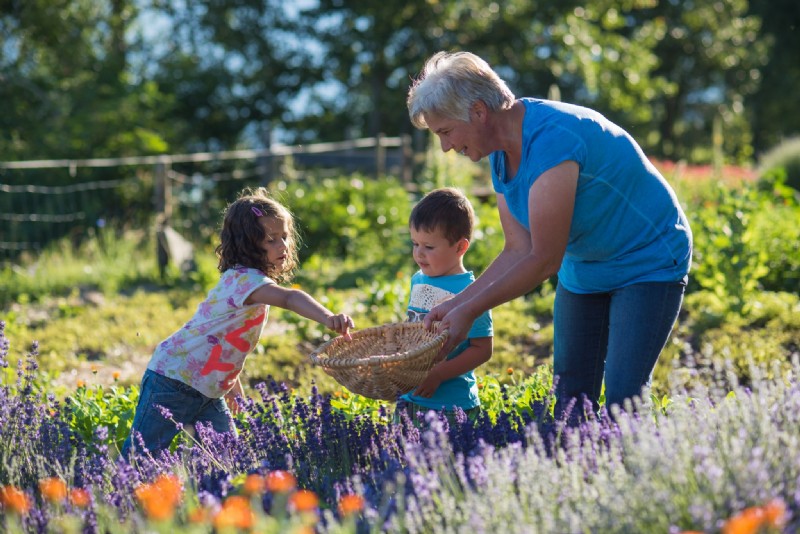 Rosmarie mit Kindern in ihrem Bergkräutergarten in Irschen