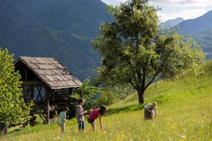 Kinder spielen auf einer großen Blumenwiese in Irschen