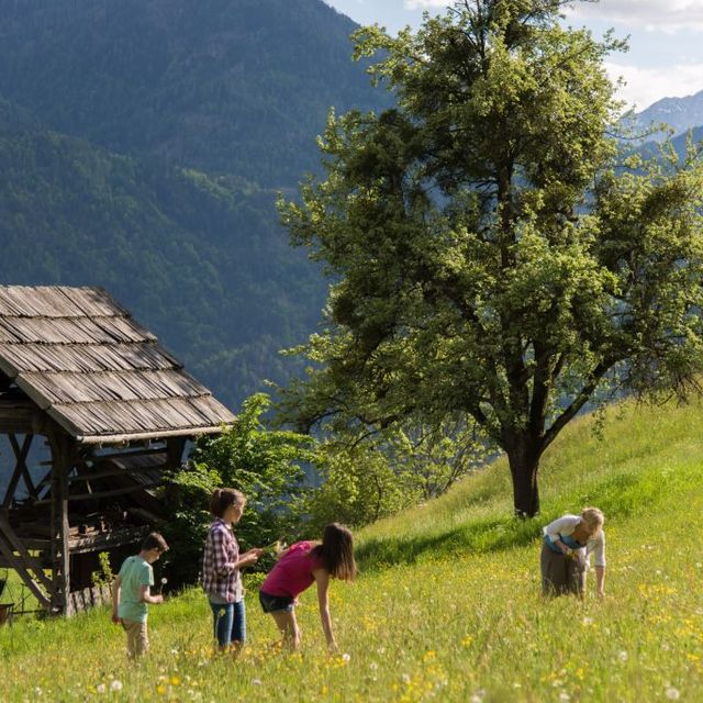 Kinder spielen auf einer großen Blumenwiese in Irschen