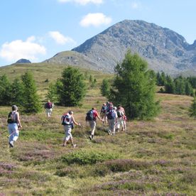 Wanderung Richtung Scharnick mit einer Wandergruppe vom Naturhotel Landhof Irschen
