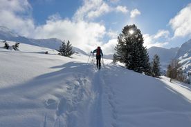 Skitourengeher im Schnee