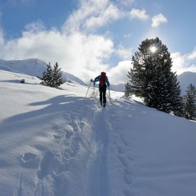 Skitourengeher im Schnee